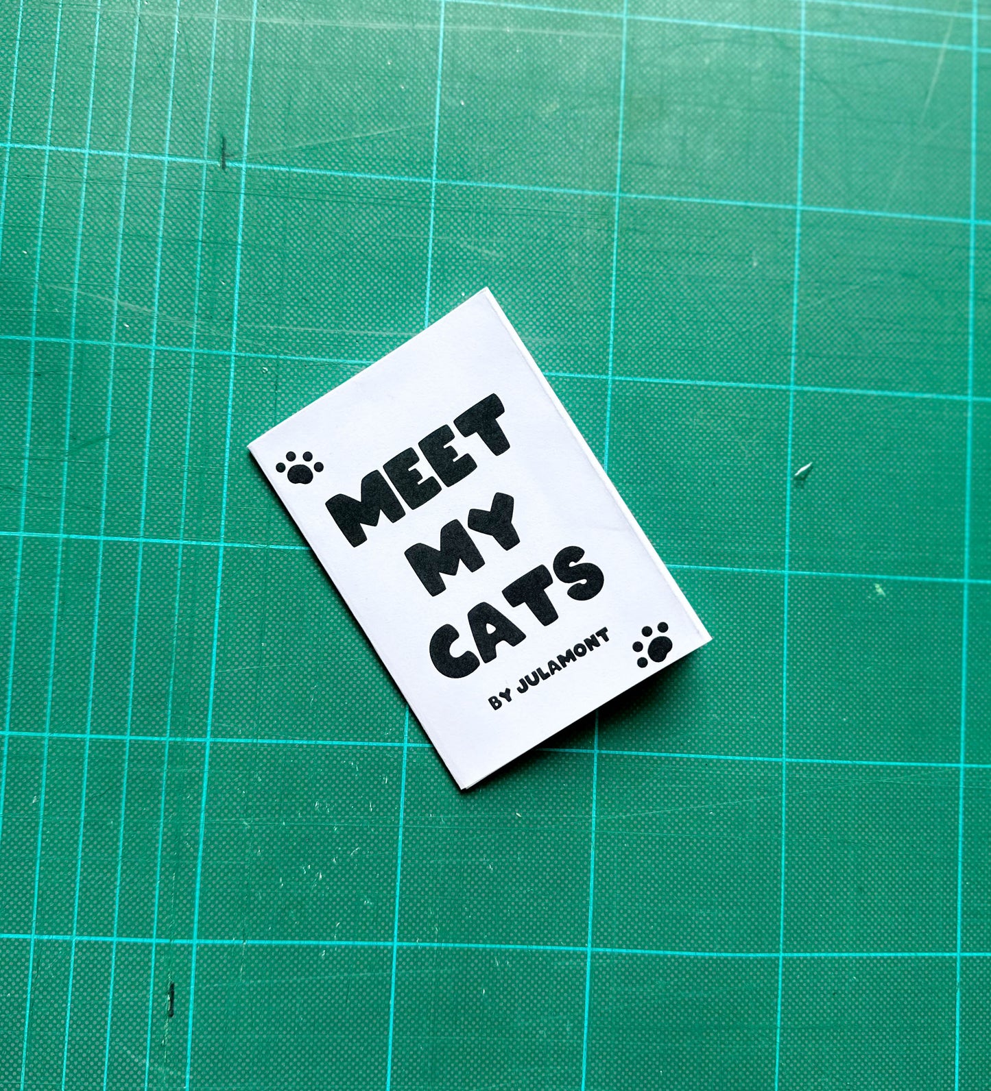 'Meet my Cats' Mini Zine