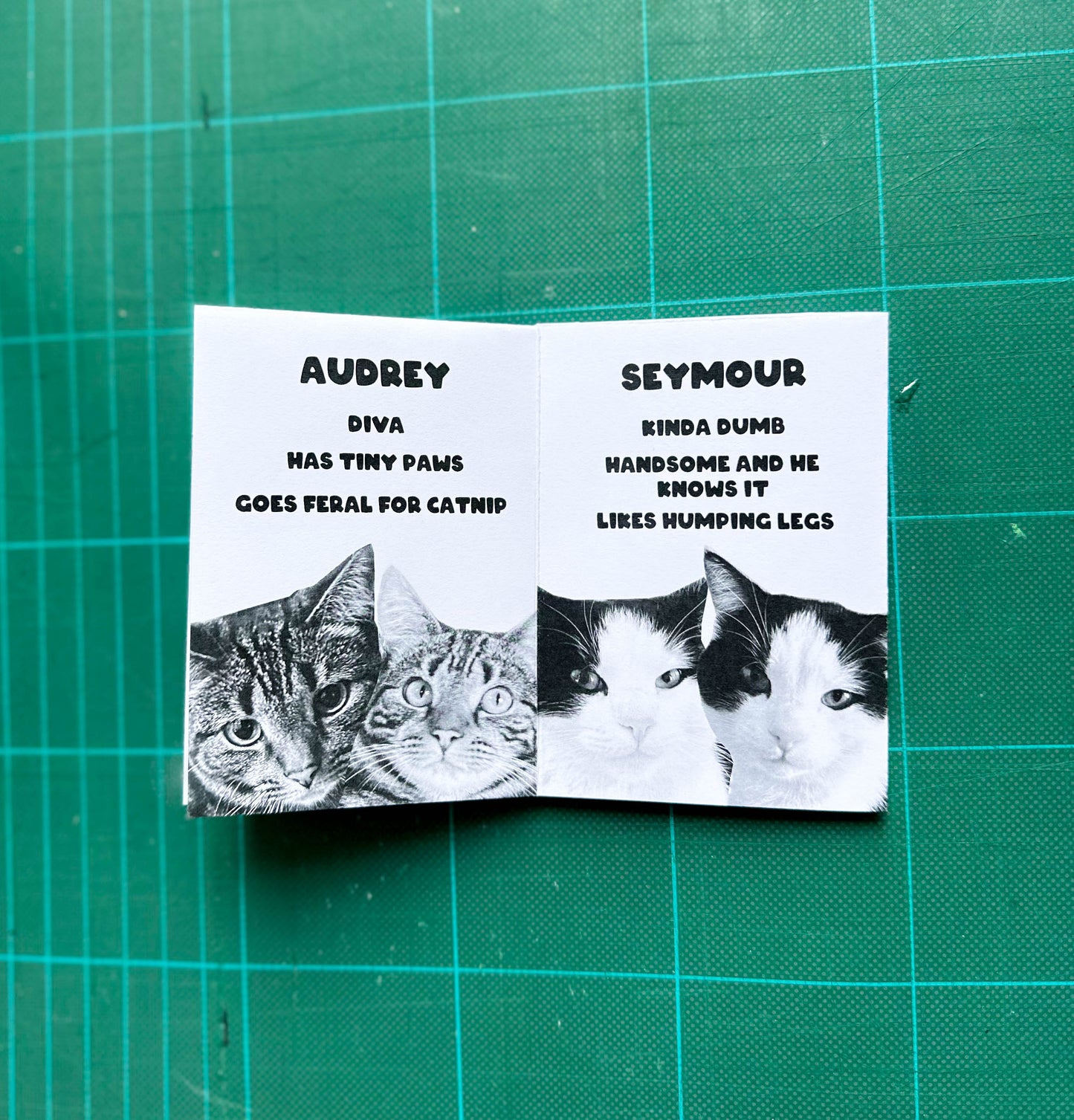 'Meet my Cats' Mini Zine