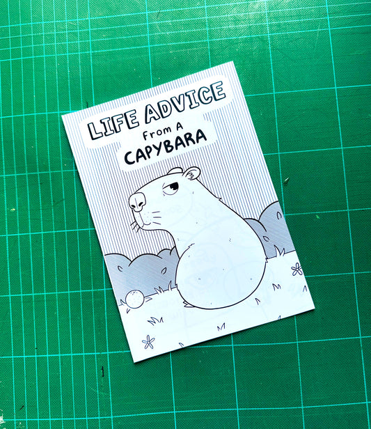 'Life Advice from a Capybara' Zine